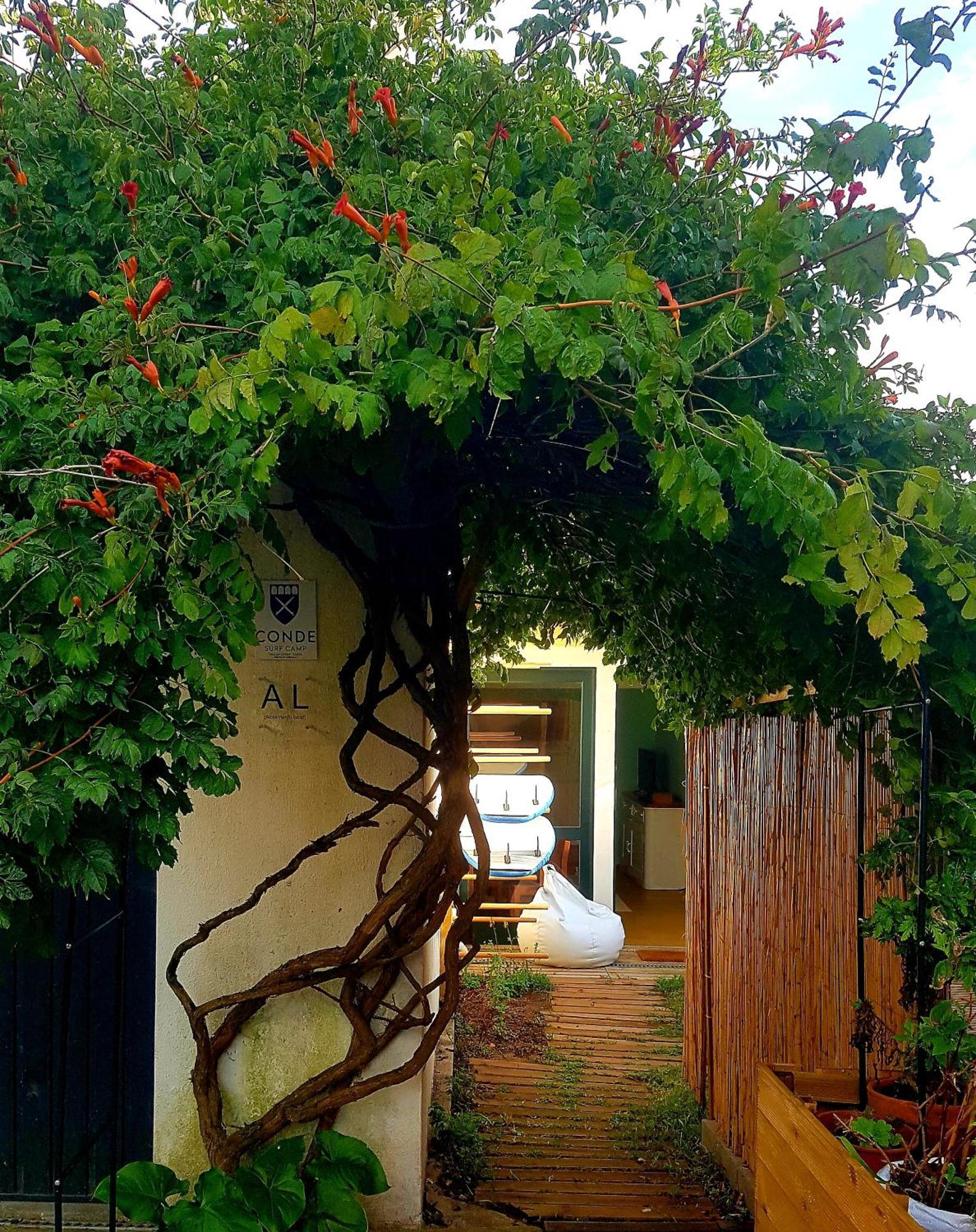 Villa Conde Surf Camp - Junto Ao Mar - Entire Pvt House Vila do Conde Esterno foto